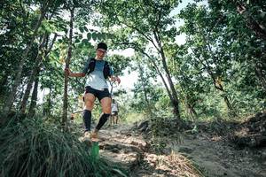 BIB: 
                            <button type="button" onclick="openModal(25759320)" class="btn btn-primary btn-sm float-right btn-popup" data-toggle="modal" data-target=".modal-high-quality">
                        <i class="fas fa-shopping-cart"></i> Add to Cart
                    </button>
                                            <button type="button" onclick="isThisMe(25759320, true)" class="btn btn-success btn-sm float-right btn-popup btn-isme hidden" data-toggle="tooltip" data-placement="bottom" title="นี่คือรูปของคุณใช่ไหม คลิกที่นี่เพื่อเอาเข้าอัลบั้ม">
                        <i class="fas fa-plus"></i> Add to album
                    </button>
                    <button type="button" onclick="isThisMe(25759320, false)" class="btn btn-warning btn-sm float-right btn-popup btn-isnotme hidden">
                        <i class="fas fa-ban"></i> Remove from album
                    </button>